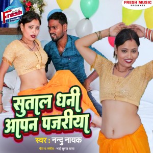 ดาวน์โหลดและฟังเพลง Sutala Dhani Apan Pajariya พร้อมเนื้อเพลงจาก Nandu Nayak