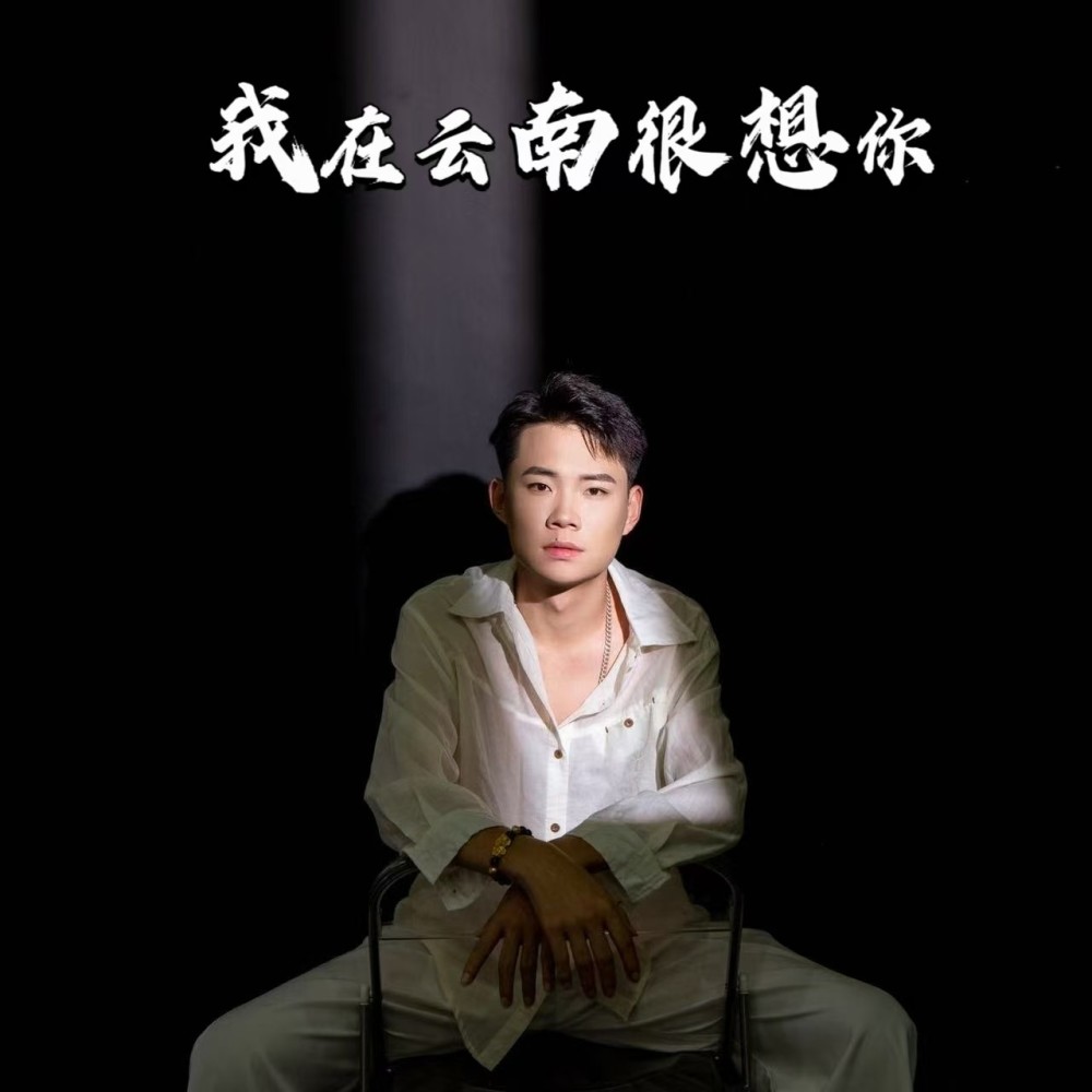 我在云南很想你 (伴奏)