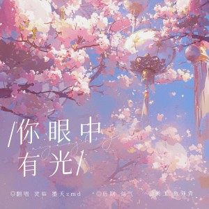 Listen to 你眼中有光 (cover: 张碧晨) (完整版) song with lyrics from 灵临