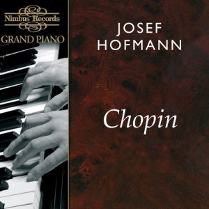 ดาวน์โหลดและฟังเพลง Sonata No. 2 in B-Flat Minor, Op. 35: I. Doppio movimento (1. Doppio movimento) พร้อมเนื้อเพลงจาก Josef Hofmann