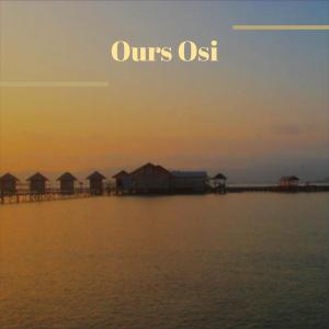 Album Ours Osi from Various
