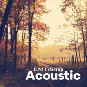 收聽Eva Cassidy的Tennessee Waltz (Acoustic)歌詞歌曲
