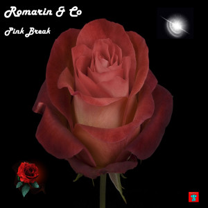 Listen to Pink Break song with lyrics from Romarin