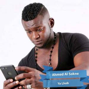Album يالحب from Ahmed Al Sokne