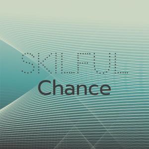 Listen to Skilful Chance song with lyrics from Fredy Cati