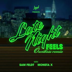 收聽Sam Feldt的Late Night Feels (Öwnboss Remix)歌詞歌曲