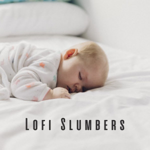 Listen to Lofi Melodic Slumbers Serenade song with lyrics from Hip Hop Lofi Chill