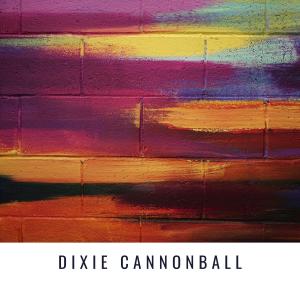 Hank Williams的專輯Dixie Cannonball