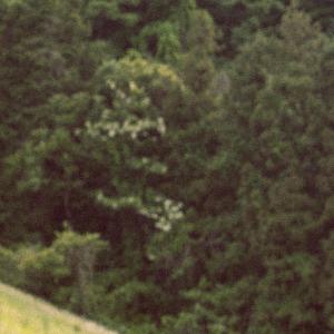 Listen to rusty nail song with lyrics from Yurisa