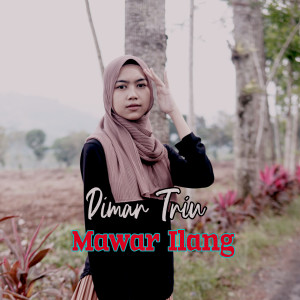Listen to Mawar Ilang song with lyrics from Dimar Triu