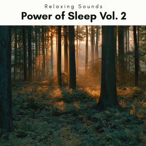 2022 Power of Sleep Vol. 2