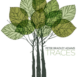Album Traces oleh Peter Bradley Adams
