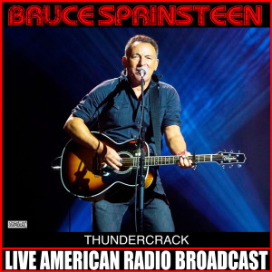 收听Bruce Springsteen的Does This Bus Stop at 82nd Street? (Live)歌词歌曲