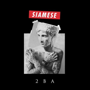 ดาวน์โหลดและฟังเพลง Party Monster พร้อมเนื้อเพลงจาก Siamese