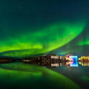 ดาวน์โหลดและฟังเพลง mania พร้อมเนื้อเพลงจาก Boneless