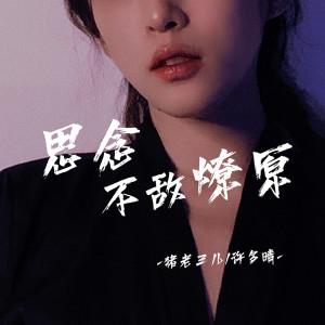 Album 思念不敌燎原 from 猪老三儿