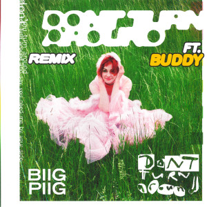 收聽Biig Piig的Don't Turn Around (Buddy Remix) (Buddy Remix|Explicit)歌詞歌曲