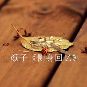 收聽顏子的側身回憶歌詞歌曲