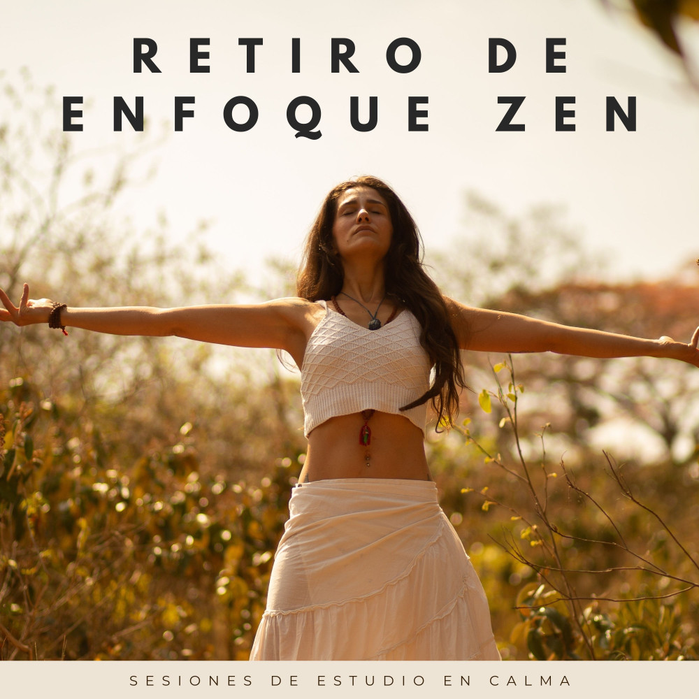 Cénit Calmo Del Estudio