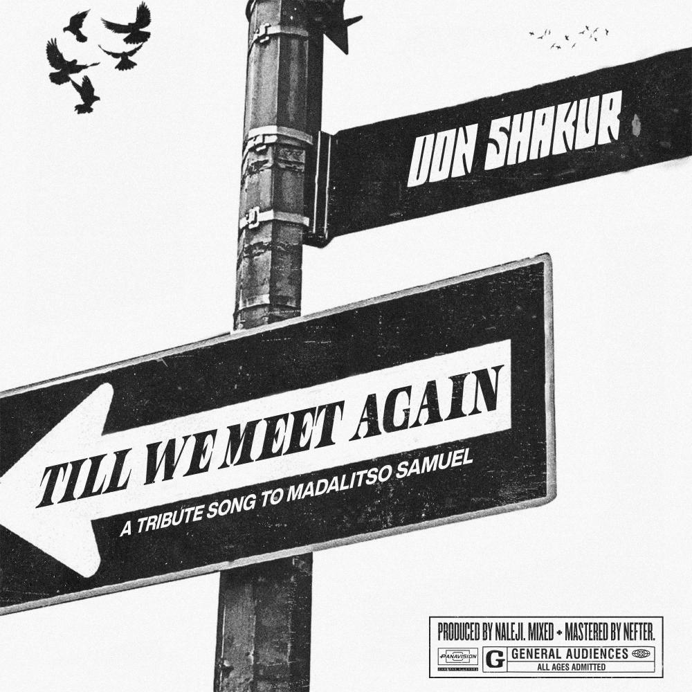 Till We Meet Again (Tribute to Madalitso Samuel)