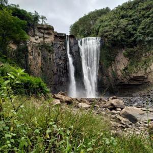 Listen to White Flag song with lyrics from Nature Sounds