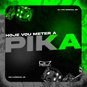 Album Hoje Vou Meter a Pika (Explicit) from DJ VINI ORIGINAL ZS