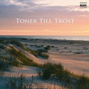 收聽Lisa Beckley的Requiem in D Minor, Op. 48: IV. Pie Jesu (Featured in "S1m0ne")歌詞歌曲