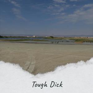 Listen to Sled song with lyrics from Marce Dham