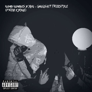 Listen to Gangshit (Freestyle) song with lyrics from Numb Numbus