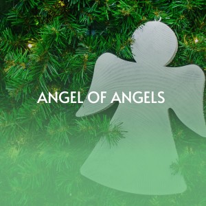 Album Angel of Angels oleh Various