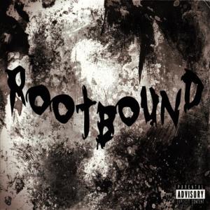 ดาวน์โหลดและฟังเพลง Nothing Left To Lose (Explicit) พร้อมเนื้อเพลงจาก Rootbound