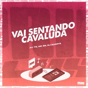 Listen to Vai Sentando Cavaluda (Explicit) song with lyrics from DJ TS