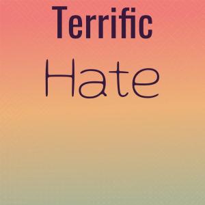 อัลบัม Terrific Hate ศิลปิน Various