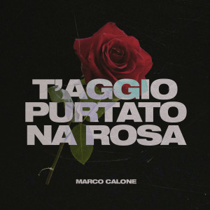 Listen to T'Aggio Purtato Na Rosa song with lyrics from Marco Calone