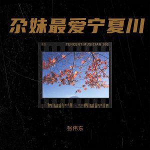 Listen to 尕妹最爱宁夏川 (伴奏) song with lyrics from 张伟东