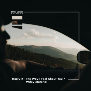 อัลบัม The Way I Feel About You / Wifey Material ศิลปิน Harry K