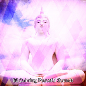80 Calming Peaceful Sounds