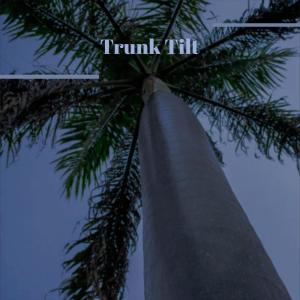 Album Trunk Tilt from Various