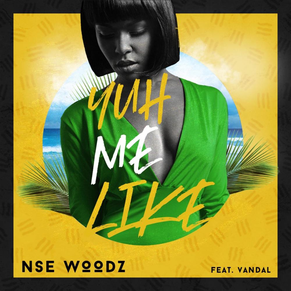 Yuh Mi Like (feat. Vandal) (Explicit)