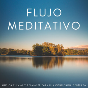 Música para la meditación的專輯Flujo Meditativo: Música Fluvial Y Relajante Para Una Conciencia Centrada