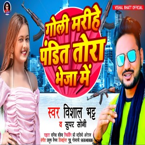 Album Goli Marihe Pandit Tora Bheja Me from Vishal Bhatt