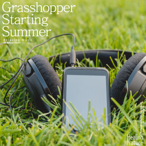 ดาวน์โหลดและฟังเพลง The Natural Paradise of the Deep Forest (ASMR, Sleep Music, Meditation Music) พร้อมเนื้อเพลงจาก 힐링 네이쳐 Nature Sound Band