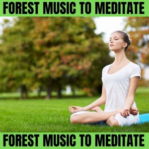 Album Forest Music to Meditate from To Meditate