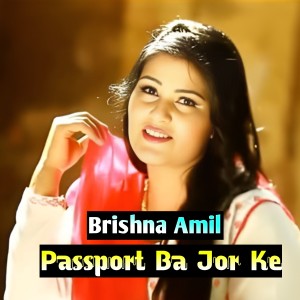 Listen to Passport Ba Jor Ke song with lyrics from Brishna Amil