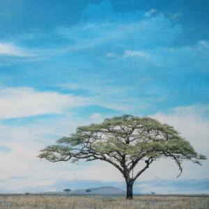 ดาวน์โหลดและฟังเพลง Savanna พร้อมเนื้อเพลงจาก 88 Sound Immersion