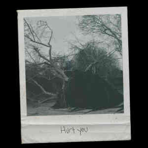 Album Hurt You (Explicit) from VOWWS