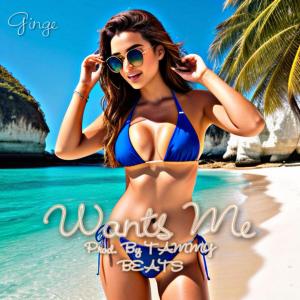 收聽Ginge的Wants Me (feat. TAMMY BEATS) (Explicit)歌詞歌曲