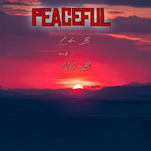 ดาวน์โหลดและฟังเพลง Peaceful (feat. N.O.B.) พร้อมเนื้อเพลงจาก Luke B