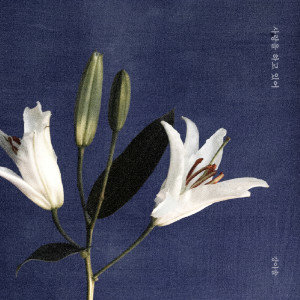 Listen to 사랑을 하고 있어 song with lyrics from 강아솔