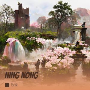 Album Ning Nong from Erik